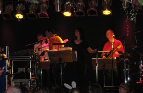 20090226_2050095466_karneval_2009_053.jpg